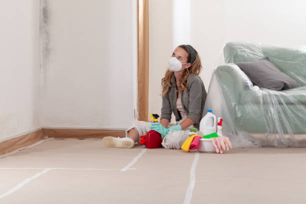 Reliable Mold Testing contractor in Mears, VA by WQB Mold Removal